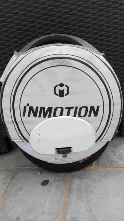 Inmotion1.jpg